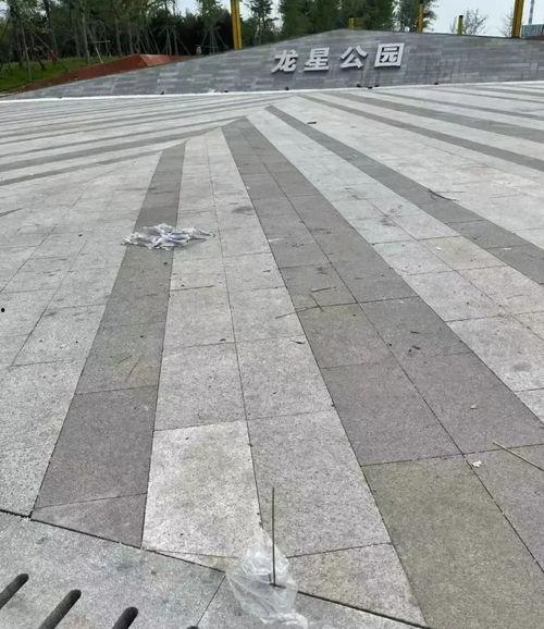 邢台沙河最新爆料,揭秘城市变迁与发展新动向  第2张