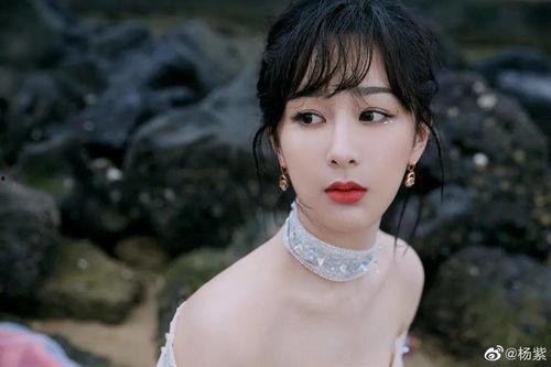 各路明星爆料杨紫视频,明星爆料视频幕后故事揭晓  第2张